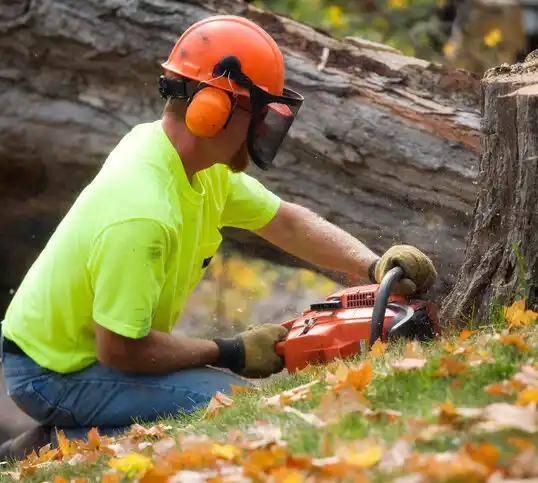 tree services Sherrill